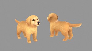 Cartoon pet puppy - Golden - baby dog 3D