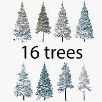 Conifer Snow Covered Pack