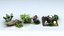 Natural Forest Deadwood Model Kit