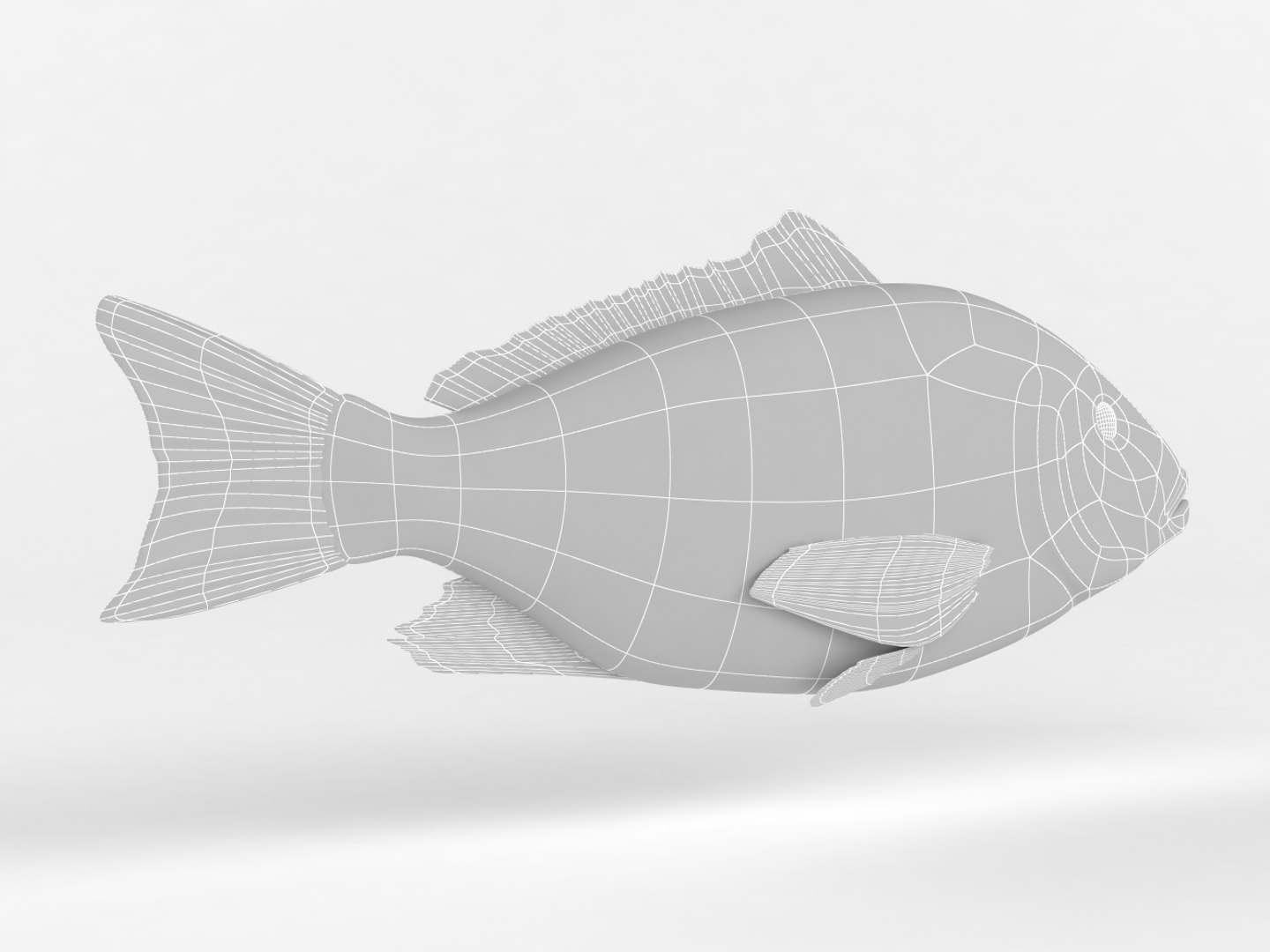 Red Snapper Fish 3D - TurboSquid 1434581
