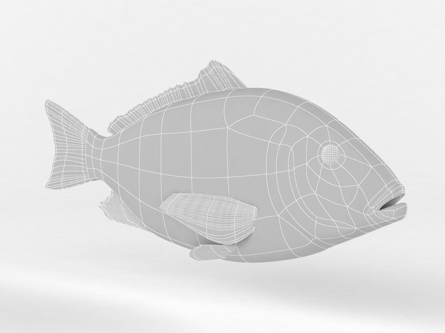 Red Snapper Fish 3D - TurboSquid 1434581