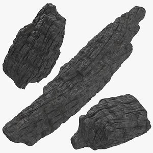 3D Burnt Log Collection