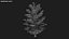 Pine Cone 02 3D model
