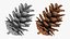 Pine Cone 02 3D model
