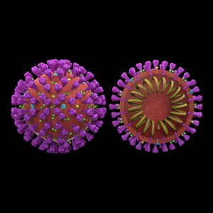 Coronavirus