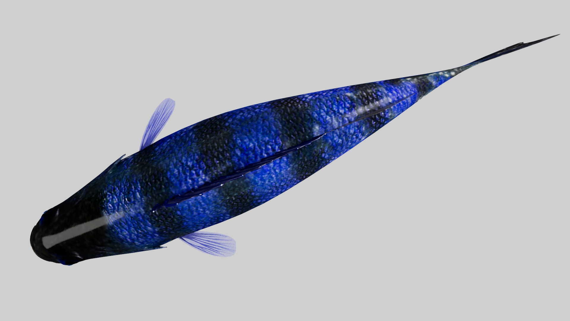modelo 3d Bony fish - TurboSquid 2021813