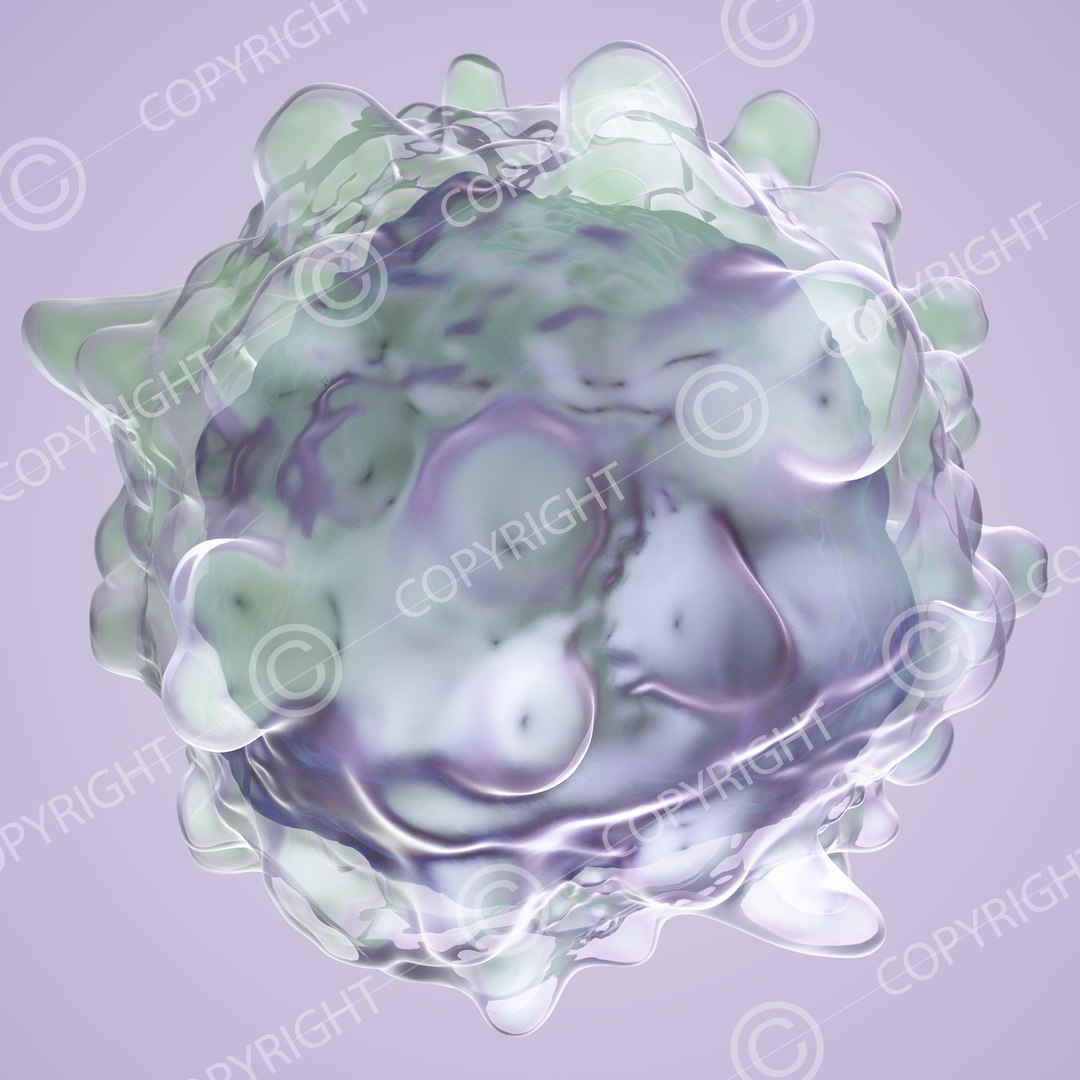 science 3D https://p.turbosquid.com/ts-thumb/Gc/weKqxC/Mg4GOCku/2/png/1548761931/1920x1080/fit_q87/5c782cb3602e353a1f1b0b25b25c69ea66754b22/2.jpg