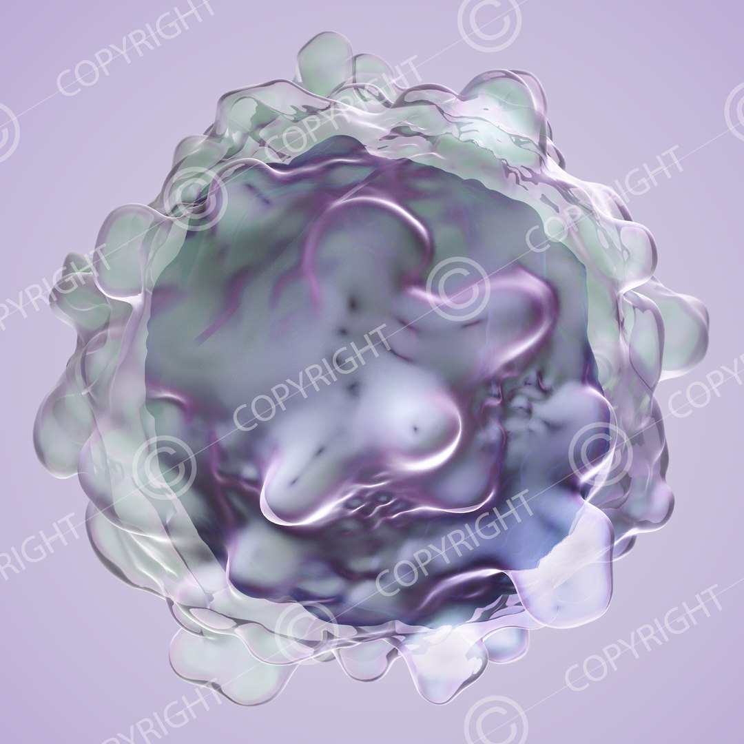 science 3D https://p.turbosquid.com/ts-thumb/Gc/weKqxC/iG18bgx4/3/png/1548761977/1920x1080/fit_q87/22775c0177833977cf48818df27f02383863cc7c/3.jpg