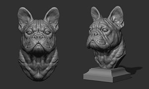 3D French bulldog bust
