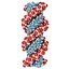 DNA