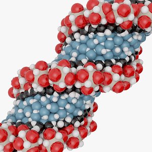 DNA