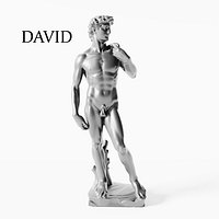 David Renaissance Sculpture 3D model
