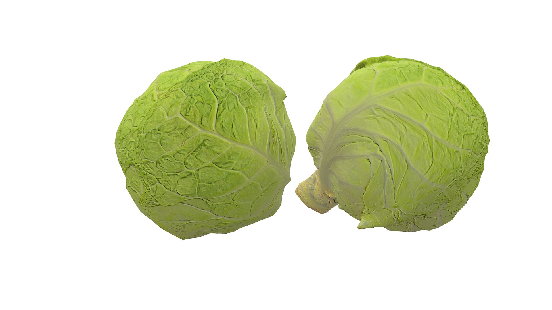 3D Cabbage Vegetable AR VR PBR https://p.turbosquid.com/ts-thumb/Gd/QZ7Ern/1g/screenshot005/jpg/1671029323/1920x1080/fit_q87/a4efca255f0851583436fc6d00c48f550775c677/screenshot005.jpg