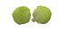 キャベツ 野菜 AR VR PBR