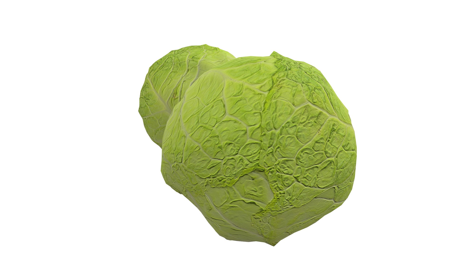 3D Cabbage Vegetable AR VR PBR https://p.turbosquid.com/ts-thumb/Gd/QZ7Ern/6v/screenshot007/jpg/1671029327/1920x1080/fit_q87/19ca5675c64077bccc9221a9d224a0f5447ea4bc/screenshot007.jpg