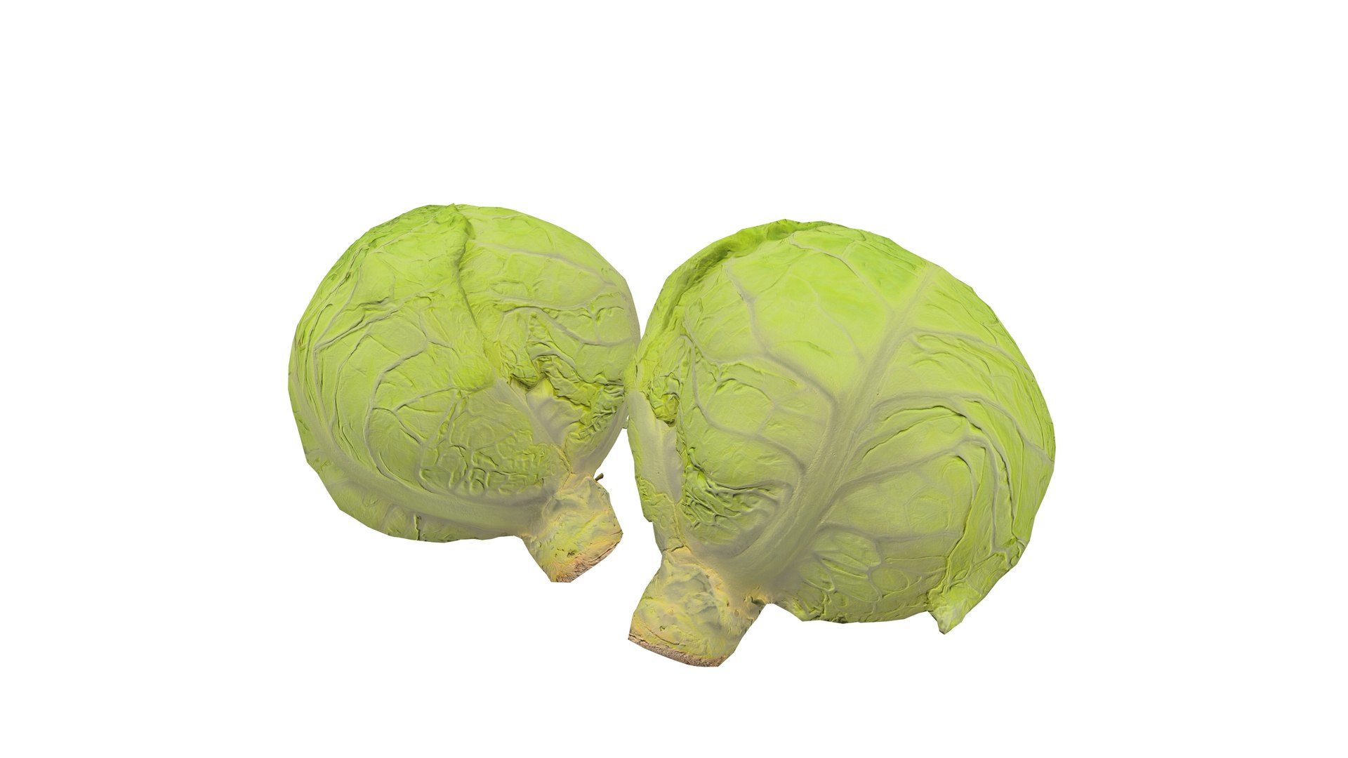3D Cabbage Vegetable AR VR PBR https://p.turbosquid.com/ts-thumb/Gd/QZ7Ern/8k/screenshot001/jpg/1671029315/1920x1080/fit_q87/46cee1b2d2751650531899aa18cd5274356edd27/screenshot001.jpg