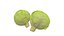 キャベツ 野菜 AR VR PBR