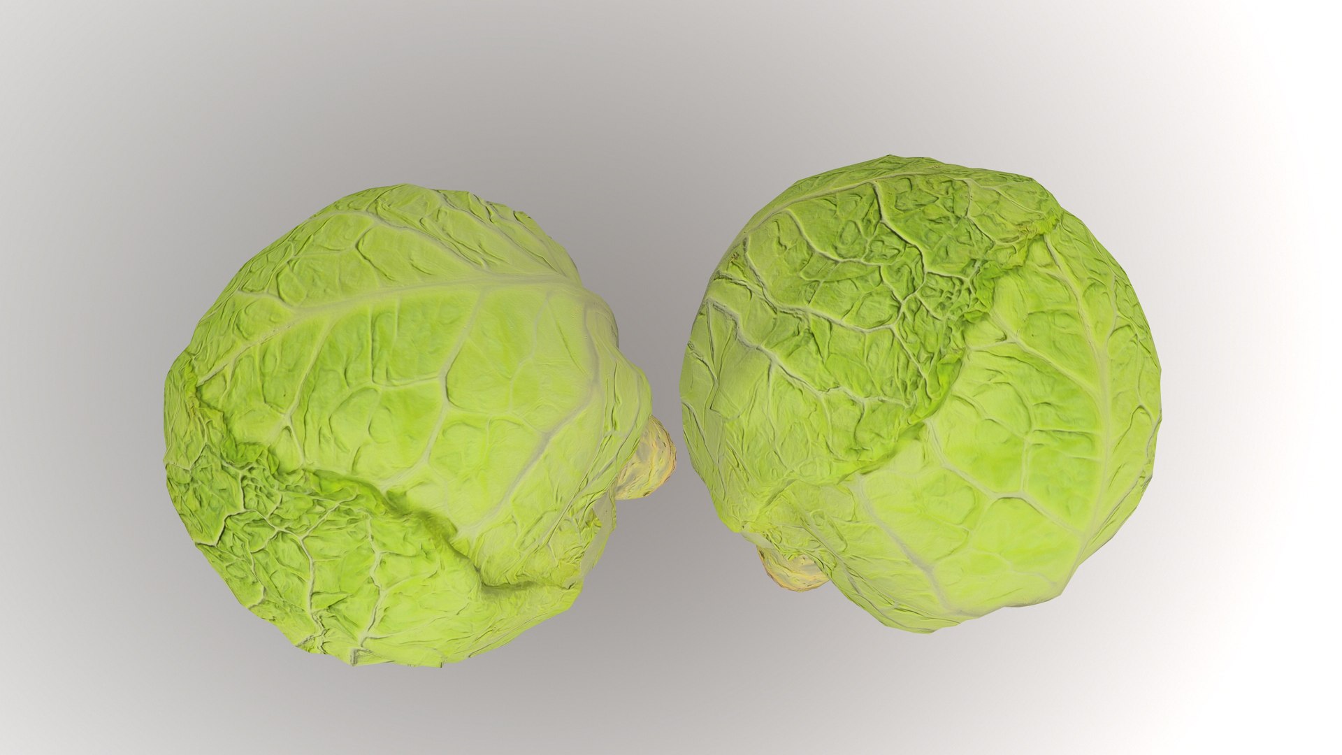 3D Cabbage Vegetable AR VR PBR https://p.turbosquid.com/ts-thumb/Gd/QZ7Ern/EG/screenshot011/jpg/1671029335/1920x1080/fit_q87/7c0362f2541aa31b02c75d238084a382fbf32acb/screenshot011.jpg