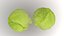 キャベツ 野菜 AR VR PBR