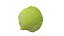 キャベツ 野菜 AR VR PBR