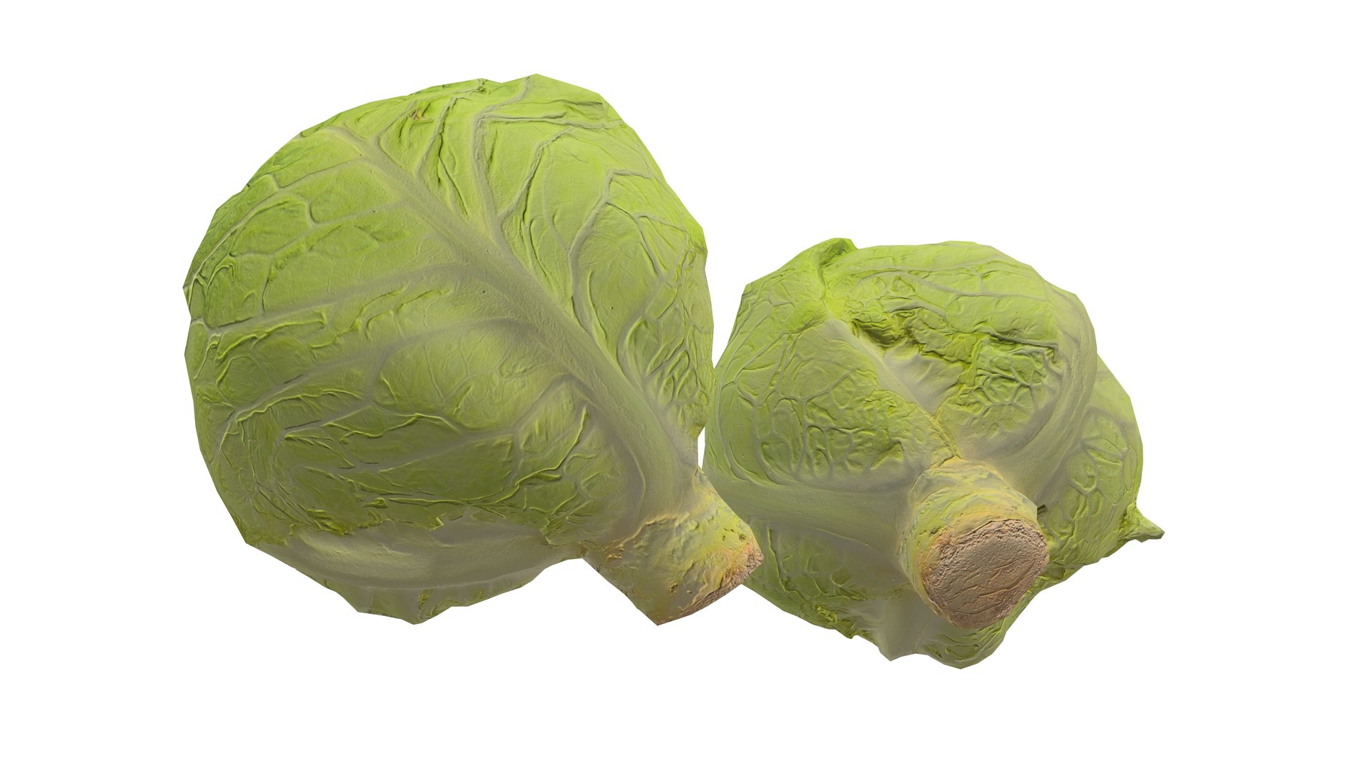 3D Cabbage Vegetable AR VR PBR https://p.turbosquid.com/ts-thumb/Gd/QZ7Ern/ST/screenshot009/jpg/1671029330/1920x1080/fit_q87/29e966d59a9f57bd8f8de166b51099fc317194a0/screenshot009.jpg