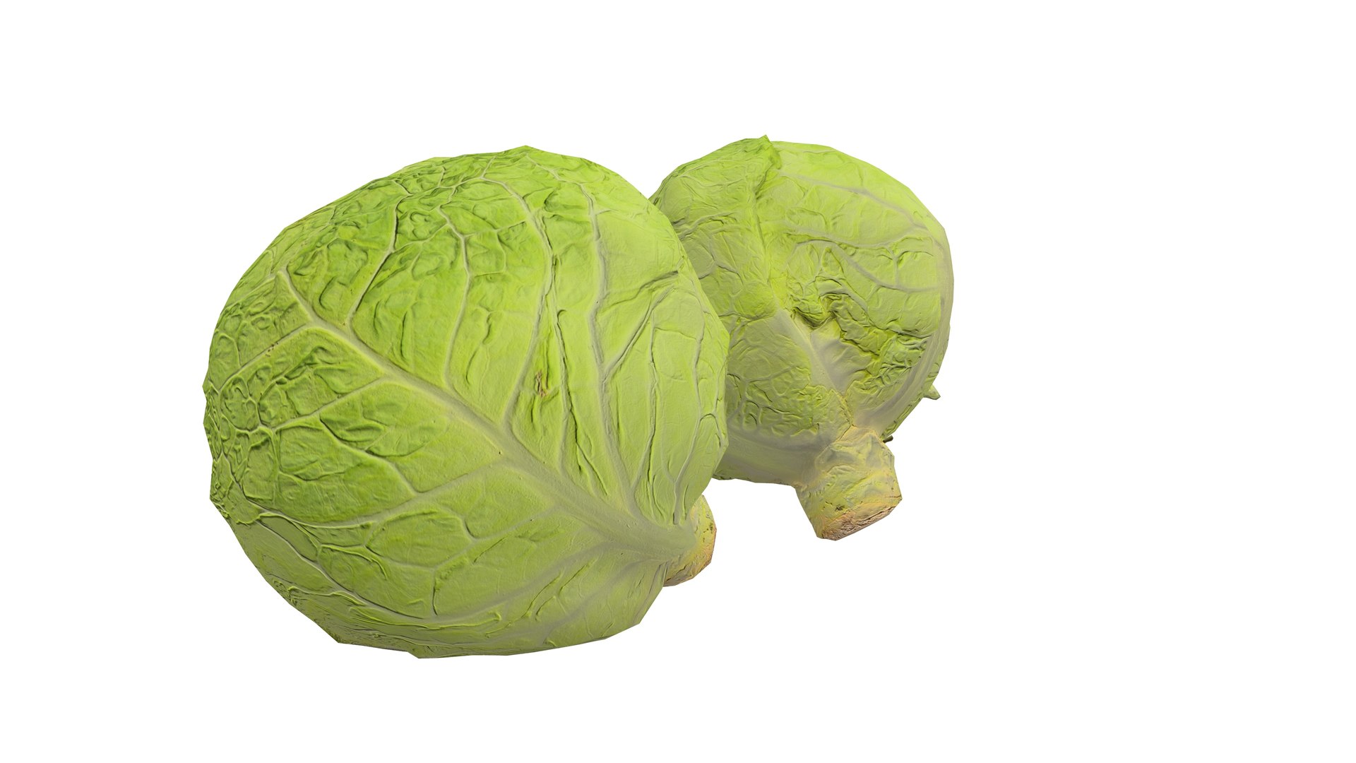 3D Cabbage Vegetable AR VR PBR https://p.turbosquid.com/ts-thumb/Gd/QZ7Ern/WE/screenshot008/jpg/1671029329/1920x1080/fit_q87/68513ec792ed64085ac5cbfb4a1ed5632333c219/screenshot008.jpg