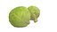 キャベツ 野菜 AR VR PBR