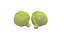 キャベツ 野菜 AR VR PBR