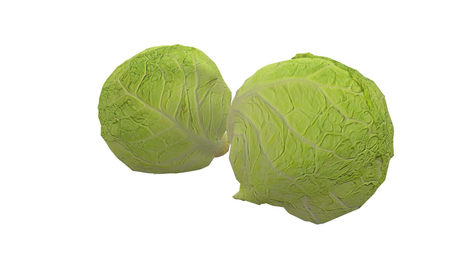 3D Cabbage Vegetable AR VR PBR https://p.turbosquid.com/ts-thumb/Gd/QZ7Ern/mZ/screenshot006/jpg/1671029324/1920x1080/fit_q87/0625465ab6416ed450457789e52f039c6172f12b/screenshot006.jpg