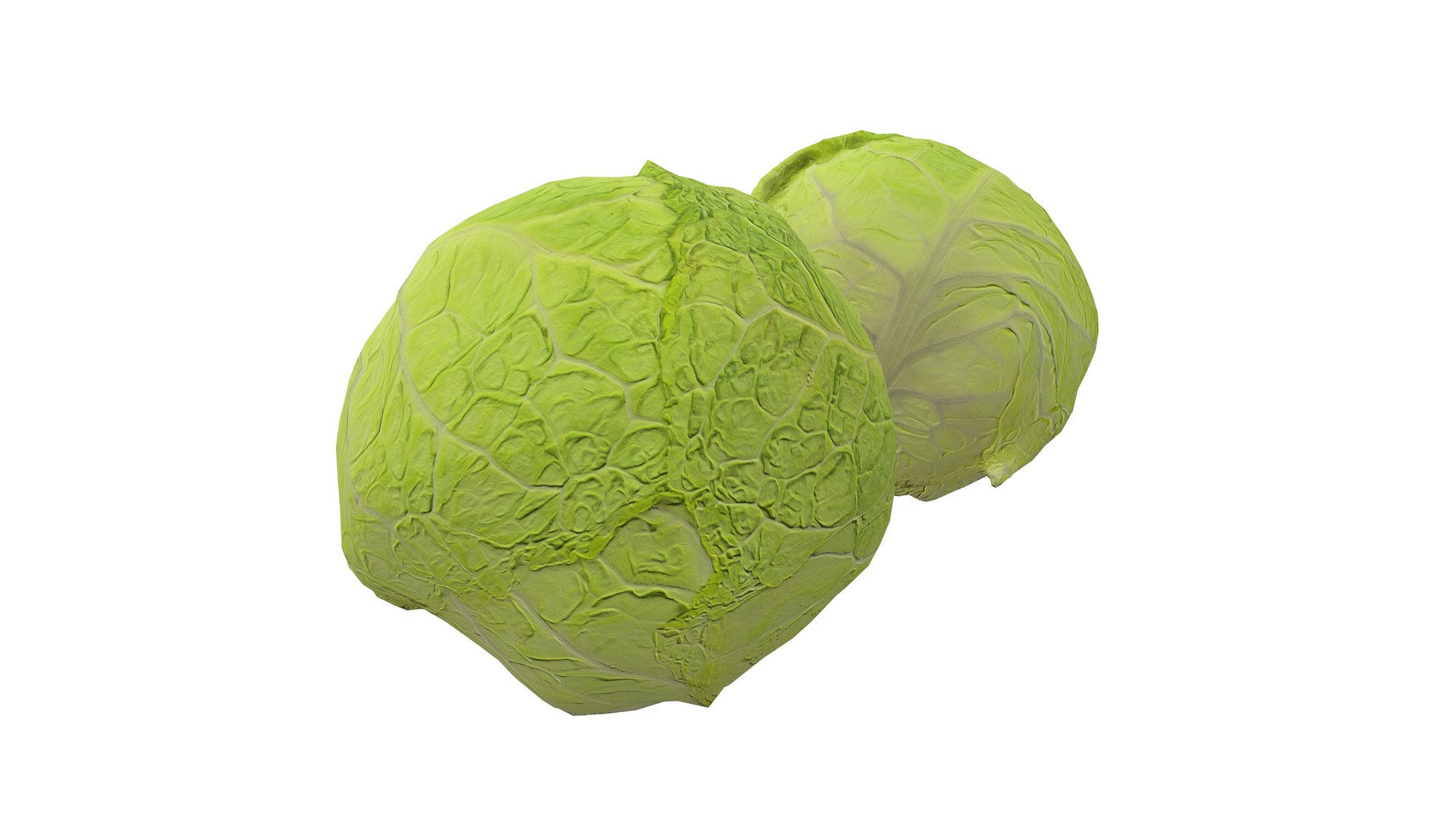 3D Cabbage Vegetable AR VR PBR https://p.turbosquid.com/ts-thumb/Gd/QZ7Ern/zf/screenshot004/jpg/1671029320/1920x1080/fit_q87/1820ab886b88ad3ec9e6d3b624aac04da5ff5f81/screenshot004.jpg