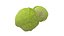 キャベツ 野菜 AR VR PBR