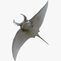 Manta ray