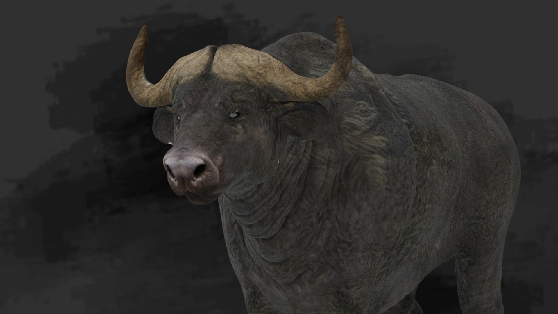 Buffalo 3D - TurboSquid 1809903