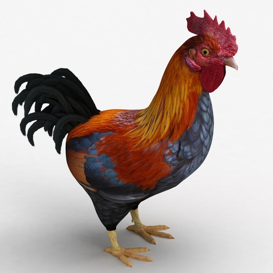 Dugm02 Rooster 3d Dxf