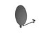 Satellite