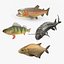 Freshwater Fish Collection