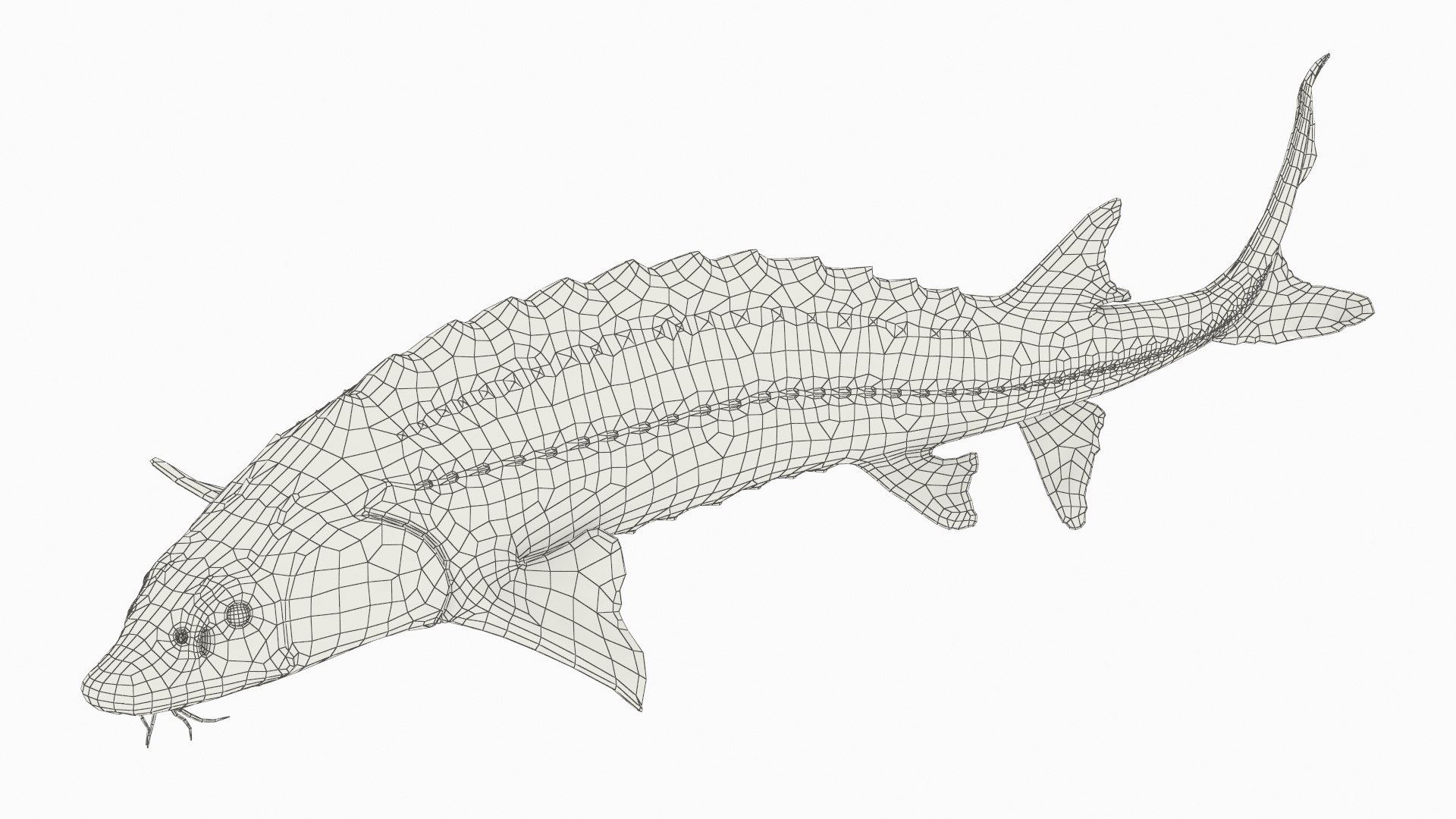 Freshwater Fish Collection 3D https://p.turbosquid.com/ts-thumb/Ge/HJMrhX/xr/freshwater_fish_collection_016/jpg/1764681880/1920x1080/fit_q87/7ba1f285e871888557308ba843ff51966003bac3/freshwater_fish_collection_016.jpg