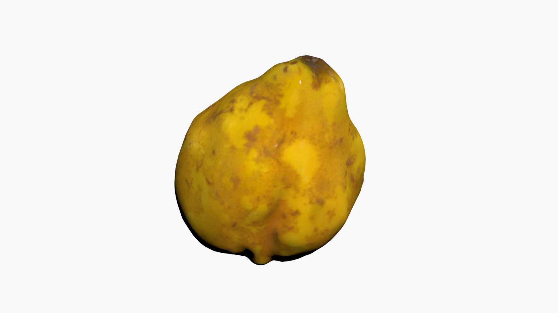 Quince 3D Scan High Quality 3D model - TurboSquid 1747326