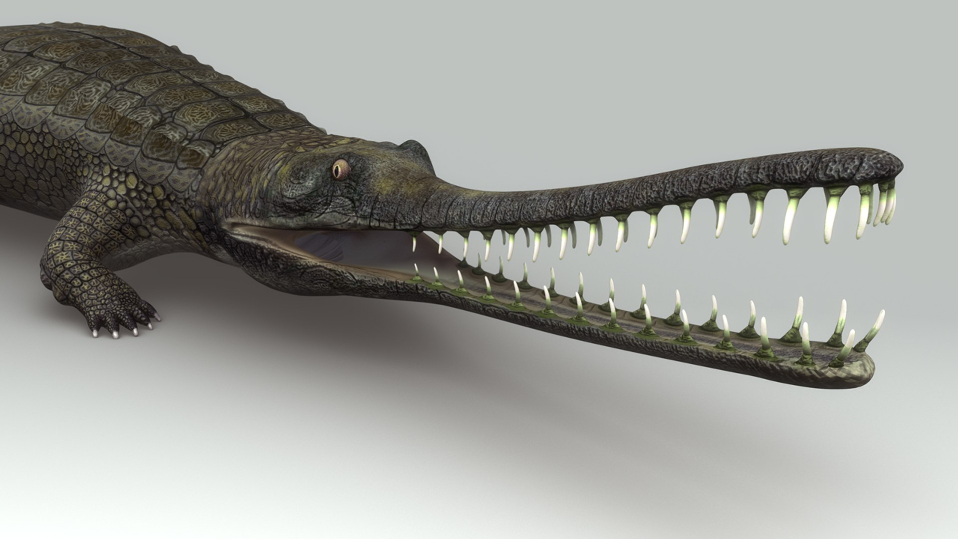 Obj Gharial Gavial Crocodile