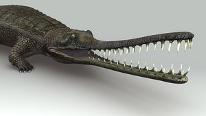 obj gharial gavial crocodile