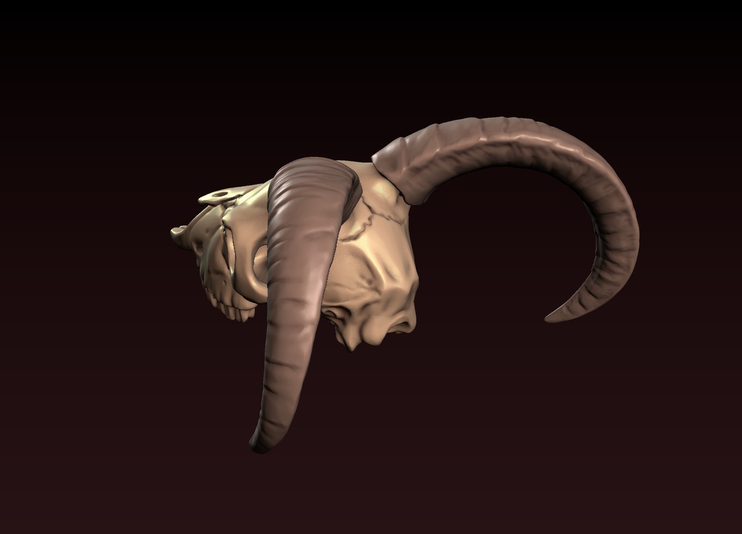 3D Goat Skull 3D print model https://p.turbosquid.com/ts-thumb/Ge/VDujal/FW/3/png/1648480351/1920x1080/fit_q87/c0744840b1c0e990664630f9ca2a102379a412c1/3.jpg