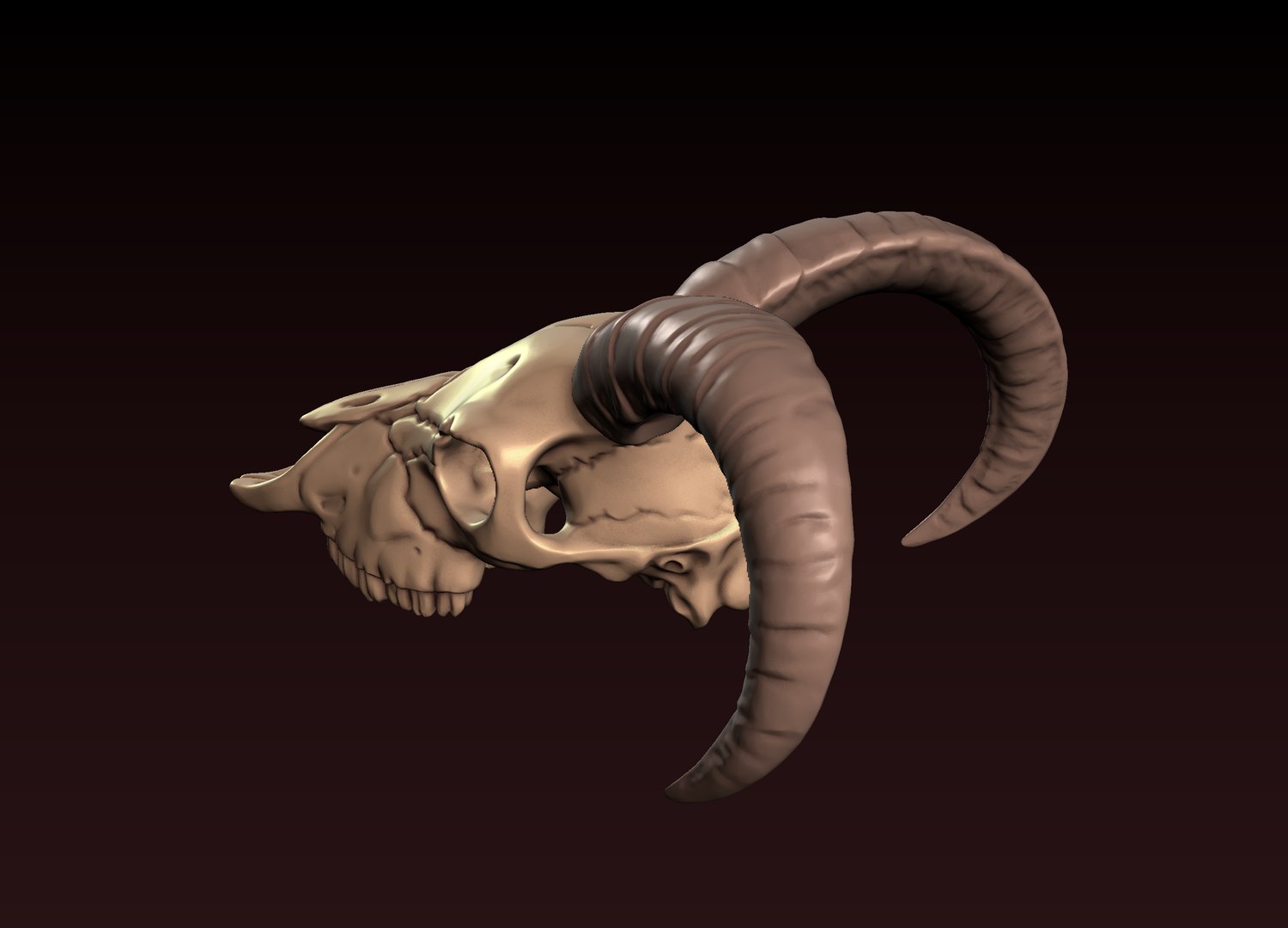 3D Goat Skull 3D print model https://p.turbosquid.com/ts-thumb/Ge/VDujal/GO/2/png/1648480351/1920x1080/fit_q87/2f110eaf05447a67f8369c98352a0527fd3451ea/2.jpg