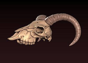 3D Goat Skull 3D print model