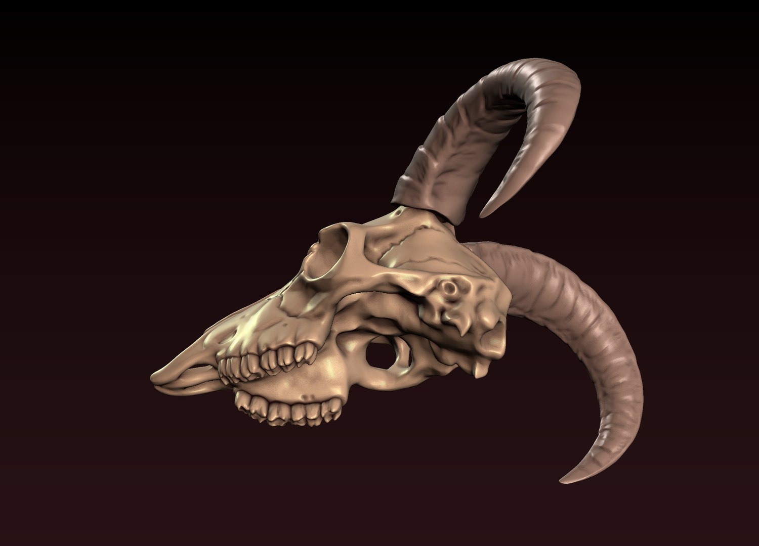 3D Goat Skull 3D print model https://p.turbosquid.com/ts-thumb/Ge/VDujal/hq/13/png/1648480366/1920x1080/fit_q87/c5fe42a66001bc6b972ee0319623bacf2d19cf6d/13.jpg