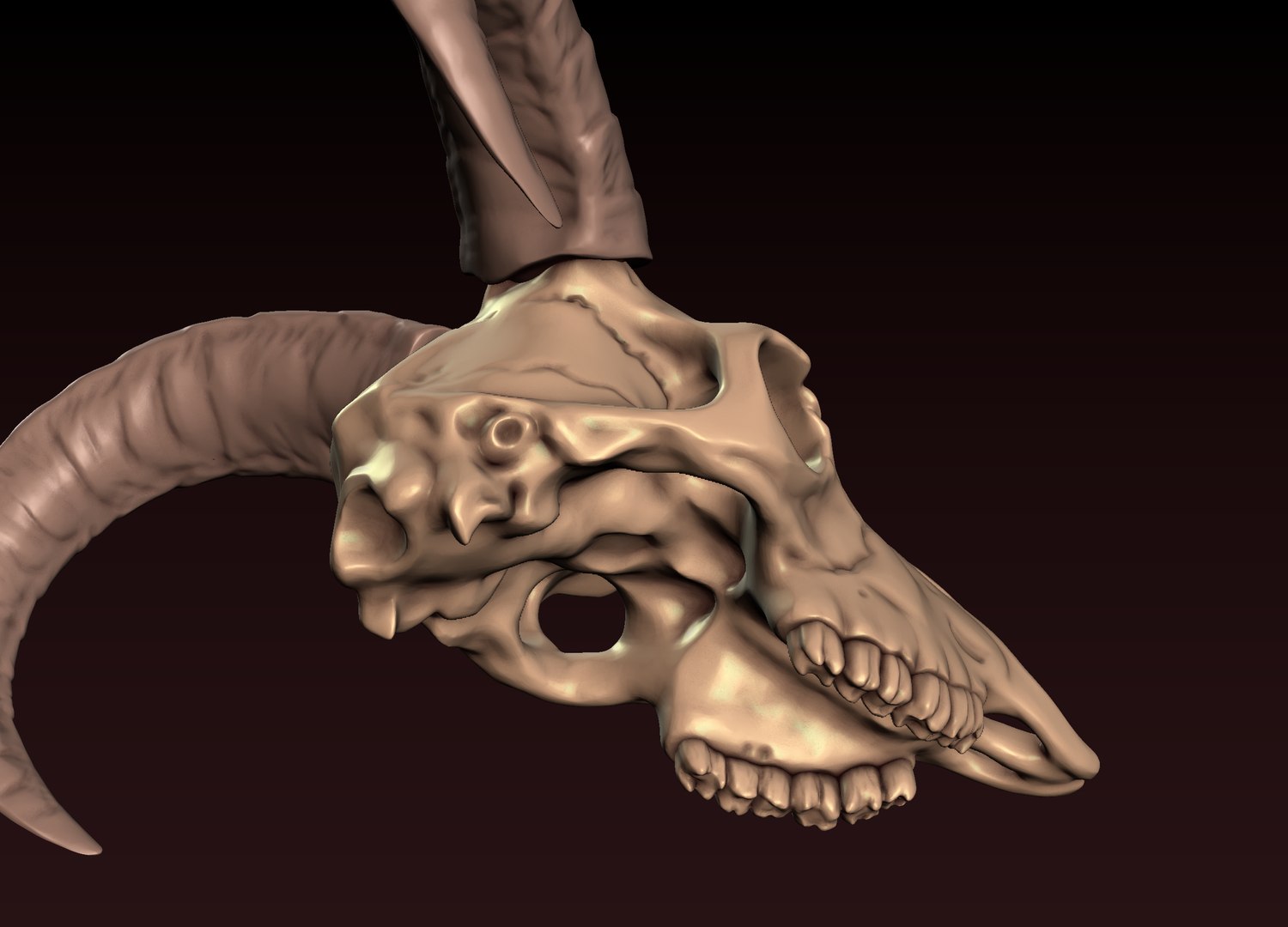 3D Goat Skull 3D print model https://p.turbosquid.com/ts-thumb/Ge/VDujal/q7/14/png/1648480367/1920x1080/fit_q87/262b606c0ad45ae4ef5bf43b802fa647e500b253/14.jpg