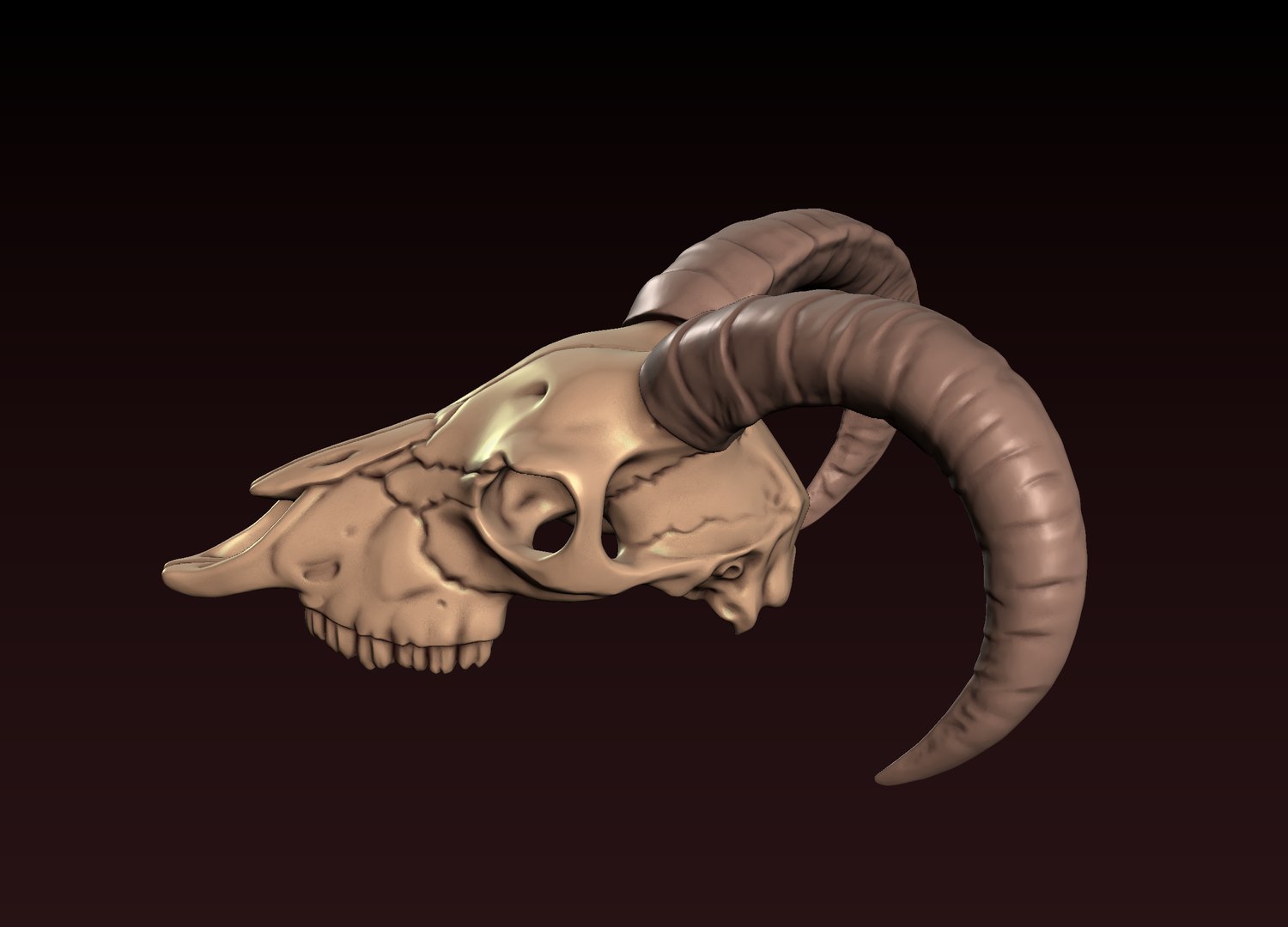 3D Goat Skull 3D print model https://p.turbosquid.com/ts-thumb/Ge/VDujal/rH/1/png/1648480363/1920x1080/fit_q87/018a8b1c95e97ac207f532d3d3421dd324b950be/1.jpg