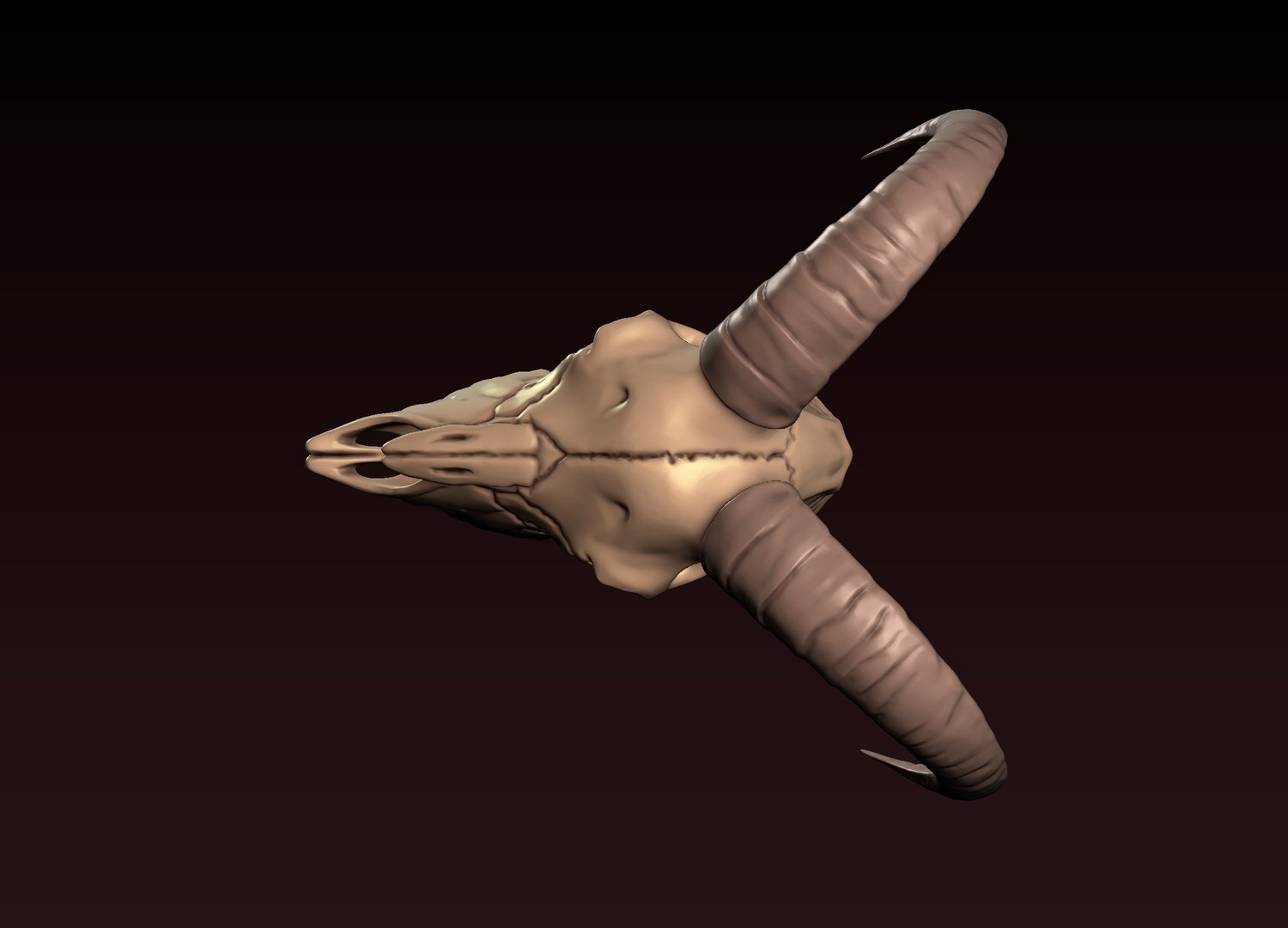 3D Goat Skull 3D print model https://p.turbosquid.com/ts-thumb/Ge/VDujal/sT/18/png/1648480355/1920x1080/fit_q87/de2487fe51384d56440be09ecced9522b67e6480/18.jpg