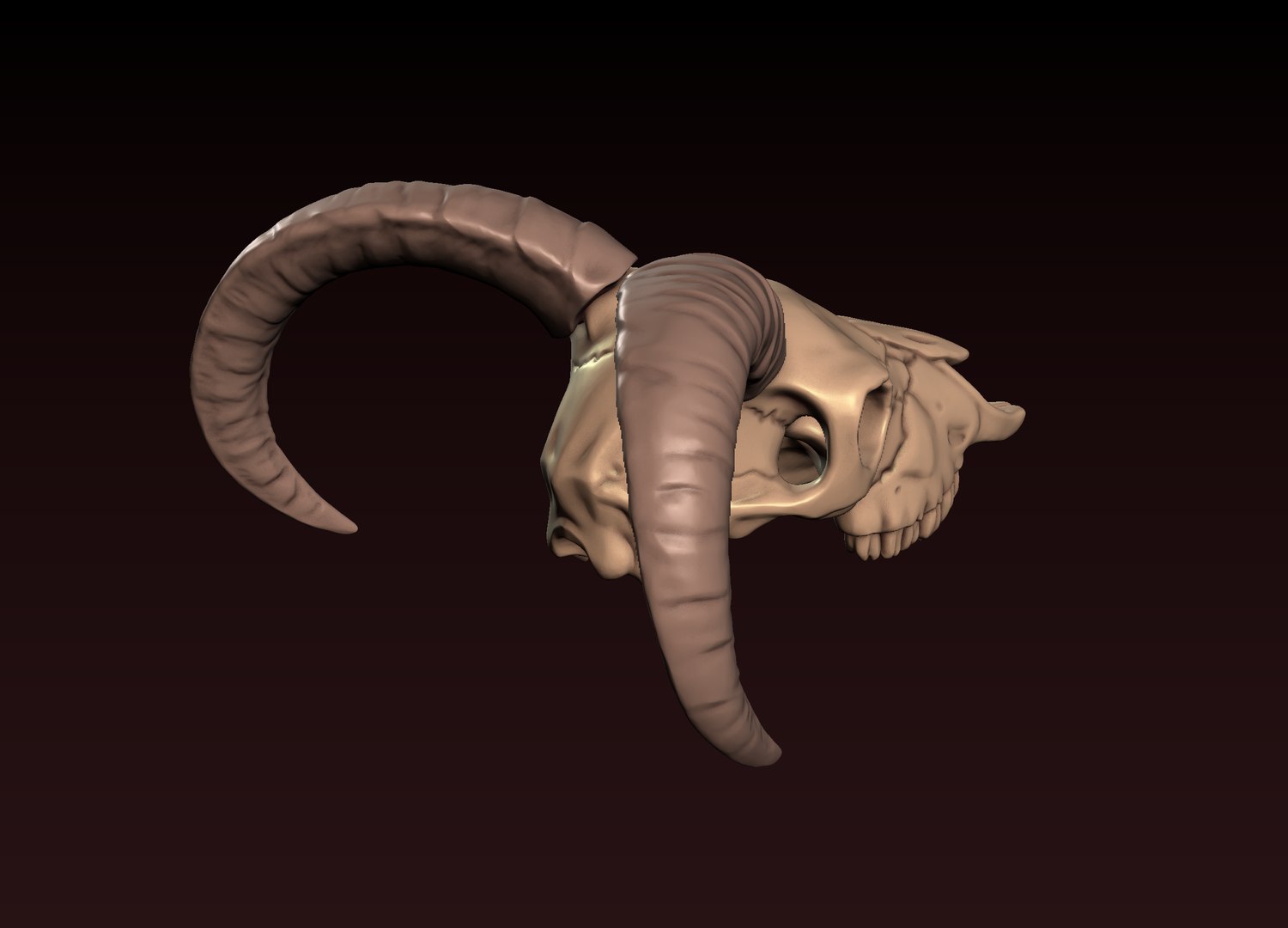 3D Goat Skull 3D print model https://p.turbosquid.com/ts-thumb/Ge/VDujal/v1/7/png/1648480353/1920x1080/fit_q87/04223d3dbc4a5fa5d3bf620efcf10bcd22826d38/7.jpg