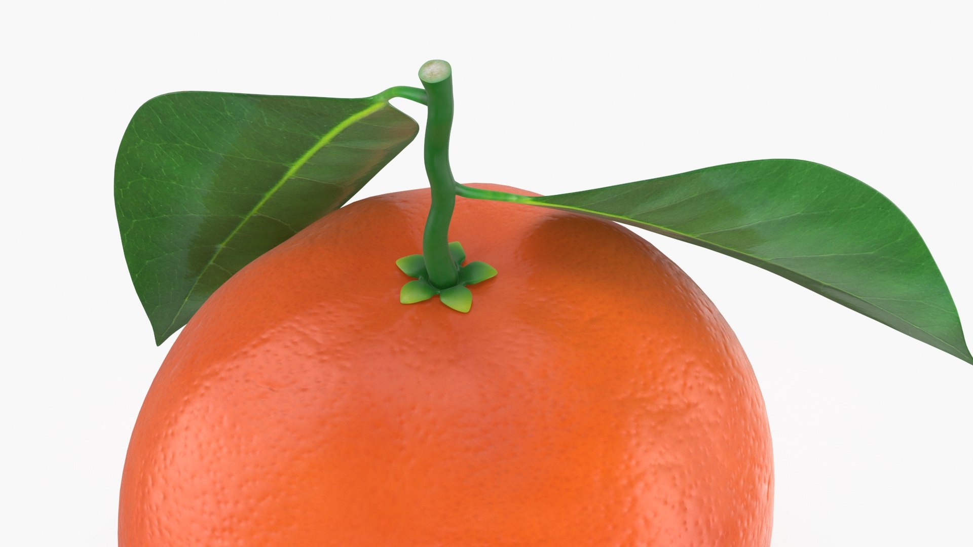 3D Model Whole Blood Orange With Leaf - TurboSquid 1993276