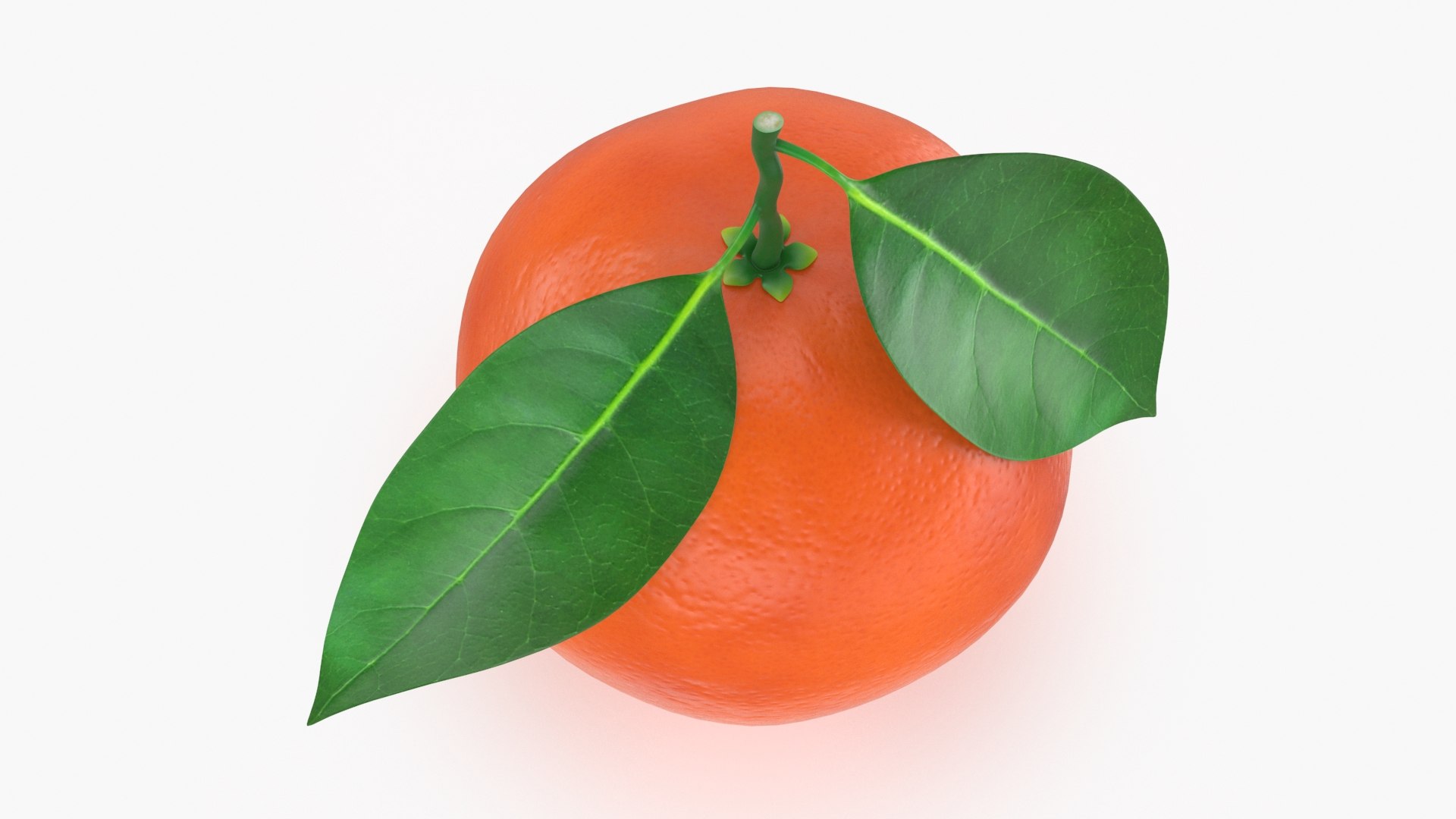 3D Model Whole Blood Orange With Leaf - TurboSquid 1993276